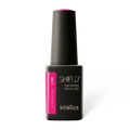 #498 WILD FUCHSIA